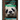A Book For Kids About Pandas: The Giant Panda Bear