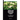 Brazilian Medicinal Plants