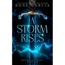 A Storm Rises