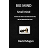 BIG MIND small mind: We have two minds in one head