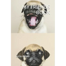My Friends Book