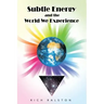 Subtle Energy and the World We Experience