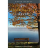 The Little Book of Still: Calm for Busy Lives