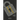 Cyber Security Essentials