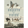 Objects of Vision: Making Sense of What We See