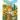 ABC Come Garden with Me