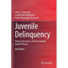 Juvenile Delinquency: Theory, Research, and the Juvenile Justice Process