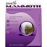 Math Mammoth Grade 4 Answer Keys