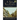 A Tale of Two Cities (Annotated, Large Print)