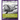Wild Hope: Stories for Lent from the Vanishing