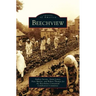 Beechview