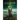 Scrutator