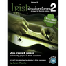 Irish Session Tunes (For Dulcimer), Volume 2