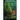 Dryad Dungeon: A Dungeon Lord Adventure
