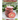 Chirstmas Cookie Cookbook: Over 100 Recipes to Celebrate the Season