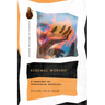 Renewal Worship: A Theology of Pentecostal Doxology