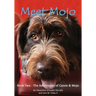 Meet Mojo