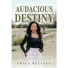 Audacious Destiny: A journey of resilience, faith, and discovery of a purposeful future amidst tragedy