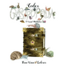 Codex Gastropoda: A Visual Meditation