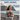 Mary Anning: How a Young Fossil Hunter Changed Science