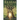 Realm of the Wise One