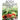 Body Ecology Diet: Record Your Weight Loss Progress (with Calorie Counting Chart)