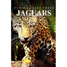 Jaguars - Curious Kids Press