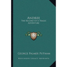 Andree: The Record Of A Tragic Adventure
