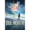 Due North: Book 1 of the Kara Mason Story