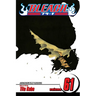 Bleach, Vol. 61: The Last 9 Days
