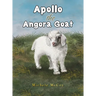 Apollo the Angora Goat
