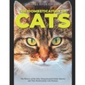 The Domestication of Cats: The History of the Only Domesticated Felidae Species and Their Relationship with Humans