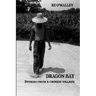 Dragon Bay: Stories from a Chinese Village