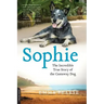 Sophie: The Incredible True Adventures of the Castaway Dog