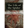 The Life of the Spider