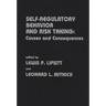 Self Regulatory Behavior and Risk Taking: Causes and Consequences