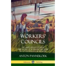 Workers' Councils: The Libertarian Socialist Philosophy of Workers' Self-Rule in Governing Local Regions