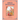 Srimad Bhagavatam: A Comprehensive Guide for Young Readers: Canto 2