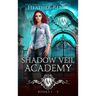Shadow Veil Academy: Books 1-3