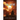 A Star Shall Fall