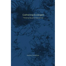 Gathering Ecologies: Thinking Beyond Interactivity