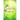 Celestial Earth