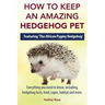 How to Keep an Amazing Hedgehog Pet. Featuring 'The African Pygmy Hedgehog' !!: Everything you Need to Know, Including, Hedgehog Facts, Food, Cages, H