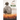 This Boy's War