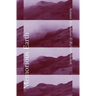 Memorious Earth: A Longitudinal Study