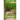 Behind the Pine Curtain