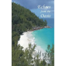 Echoes from the Oasis