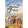 Meeting the Sweet Grass