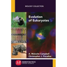 Evolution of Eukaryotes