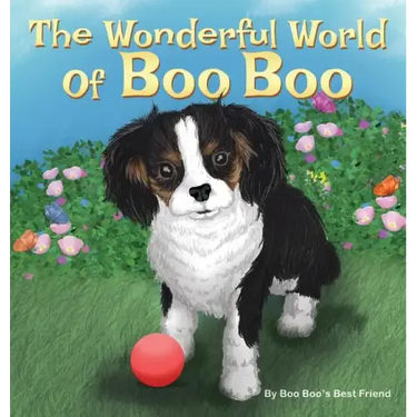 The Wonderful World Of Boo Boo